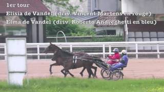 Elisia de Vandel et Elma de Vandel grosbois