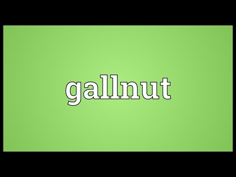 Header of gallnut
