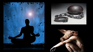 The Discipline of Detachment