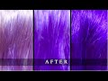 ULTRA VIOLET MANIC PANIC REVIEW on Blonde, Dark Blonde, Light Brown BEFORE & AFTER
