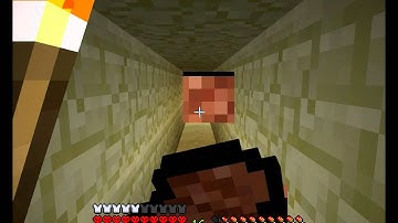 Minecraft - Super Hostile Lethamyr D - Episode 08