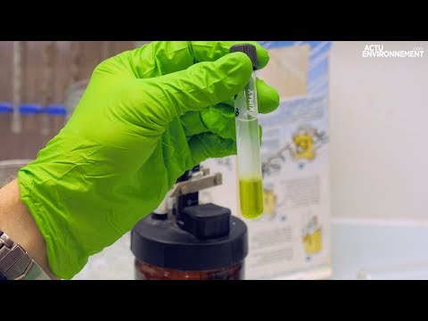 Vidéo: Techniques Microfluidiques Pour Améliorer L'industrie Des Biocarburants Et Des Bioraffineries à Base De Microalgues