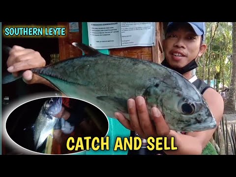 MATAMBAKA fishing gamit ang balat ng FITA biscuit 2( 9 kilos matambaka ...
