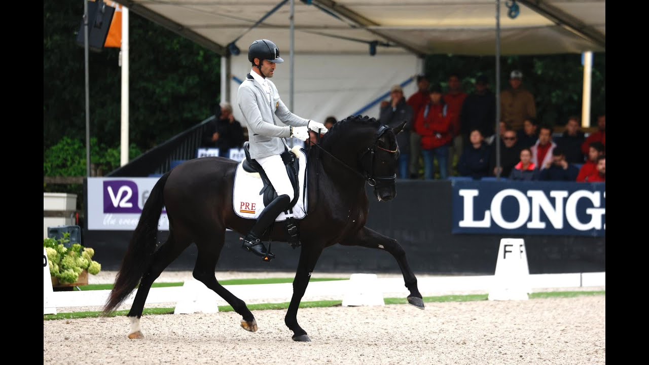 Alejandro Sánchez del Barco y Rondo de Indalo en la Preliminar de 5 años: (82.000%).