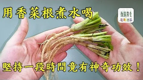 用香菜根煮水喝，坚持喝5天！竟有神奇功效，全家都看傻眼了！医生都说非常有效！ - 天天要闻