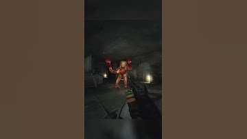 Wilson my Beloved - Entropy Gmod Realism  #gmod #halflife