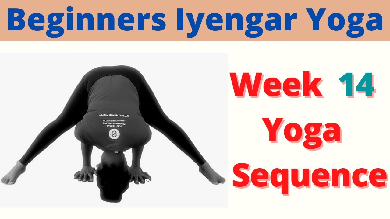 Iyengar Yoga for Beginners, Week 14 Iyengar Yoga Sequence, 50 minutes
