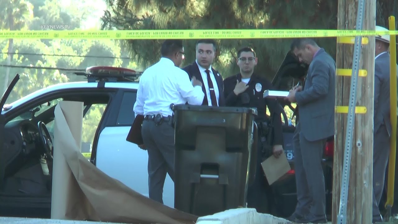 Woman's Body Found in Trash Can in Sunland; Investigation Underway ...