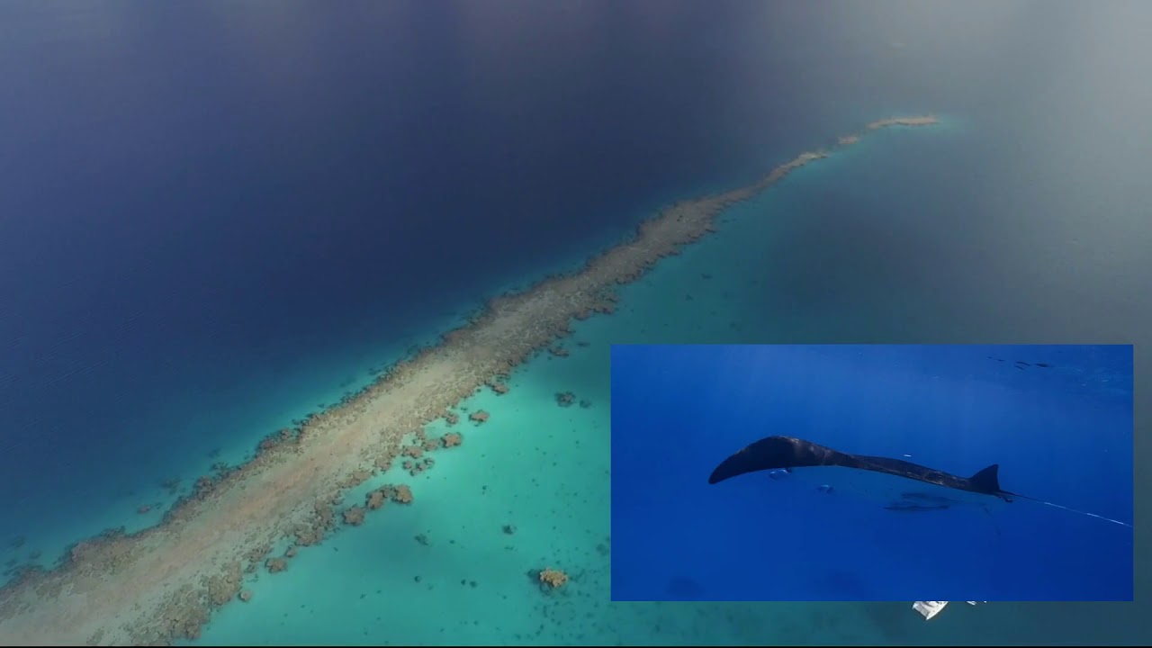 Hao Atoll in the Tuamotus of French Polynesia