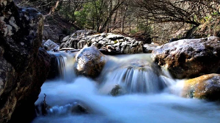 Rachmaninoff, Spring Waters ~ Michael Calmes and W...