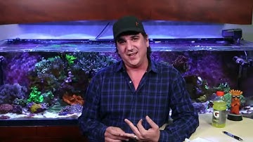 #AskBRStv LIVE - Preview of Biological Filtration - BRS/WWC System