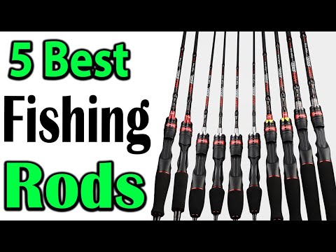 TOP 5 Best Fishing Rods Review 2024