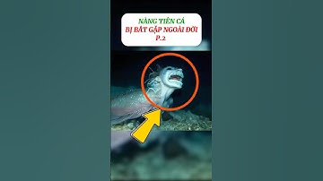 [P.2] Sự thật về nàng tiên cá ngoài đời thật #shorts