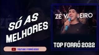 ZÉ VAQUEIRO Cd Completo - As Mais Tocadas do ZÉ VAQUEIRO 2021 | Musicas Melhores Ano