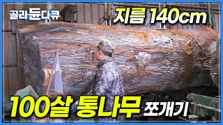 미국에서 물 건너 온 100살 통나무 시원하게 잘라 원목 식탁으로 만드는 과정┃나무 특성 그대로 살린 우드 슬랩 가구┃맞춤제작 원목 가구 공장┃극한직업┃#골라듄다큐