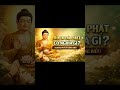 🌼 A Di Đà Phật Có Nghĩa Gì? (Không Phải Ai Cũng Biết) #daophatnhiemmau
