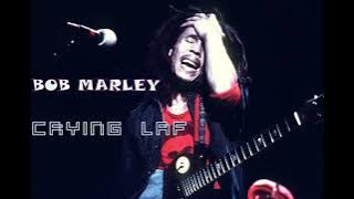 Bohemia and Bob Marley  cayirig laf song's #bobmarly#bohemia