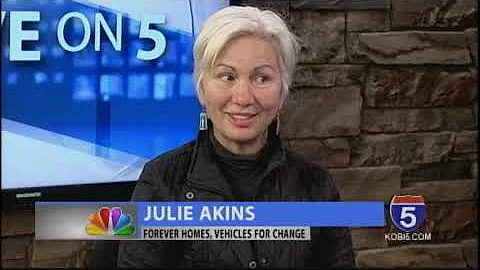 Five on 5 - Julie Akins - Forever Homes, Vehicles ...