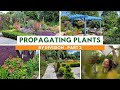 How to propagate by division  part 2