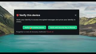 Add Another Client in Matrix Chat and Transport The Keys for End-to-End Encryption to the new Client