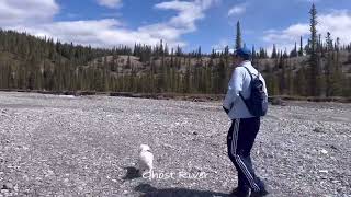 Devils Gap Trailhead | Ghost River | Trans Alta Road