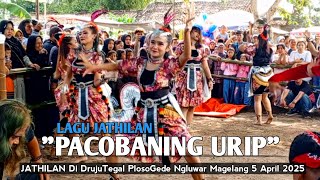 PACOBANING URIP VERSI JATHILAN KUDHO RANDU GUMBOLO PUTRI voc Febri Ws & Dita Amelia