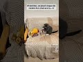 Bsahtek Rire 