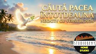 Cauta pacea Întotdeauna - Negativ 2026