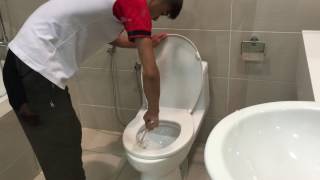 IMG 0119