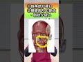 【99%が知らない】15秒のエクササイズでほうれい線を解消する方法