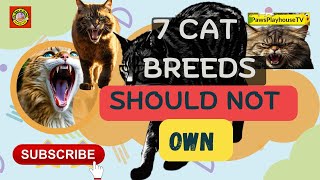 7 Cat Breeds You Should Not OWN and avoid shed