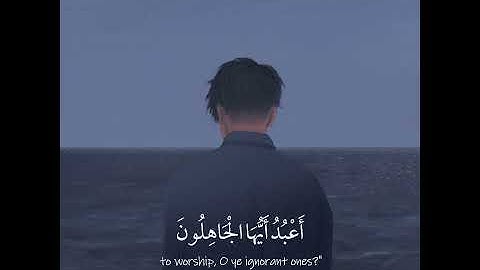 الله خالق كل شي 🌸القارئ كمال محمد هاشم 🖇️ حالات واتس اب دينيه قران كريم🌹 ستوريات قصيرة 🌸