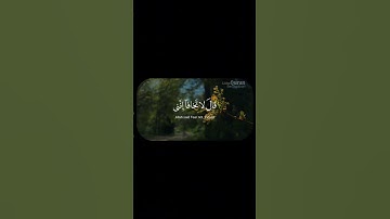 قال لا تخافا إنني معكما أسمع وأرى | سورة طه الآية 46 . محمد ديبيروف