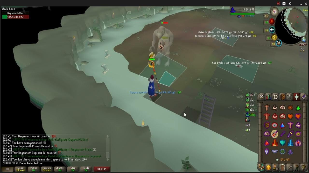 DKS Solo Slayer Task Max Dps QCS OSRS Gameplay OSRS YouTube