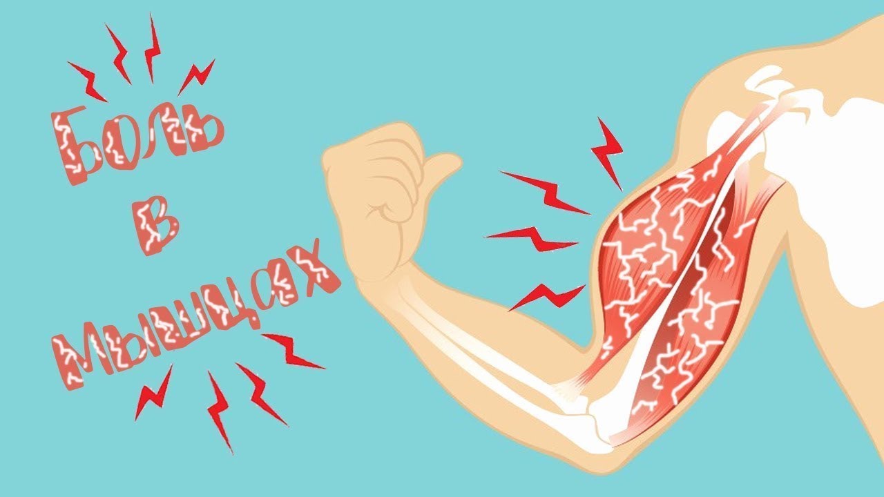 Можно ли Тренировать Мышцы когда другие еще Болят