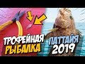 Трофейная рыбалка в Паттайе - Тайские хроники #3