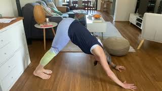 Crouching tiger to plank