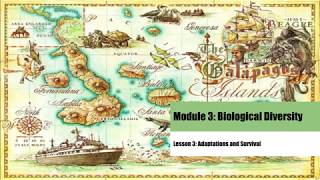 Module 3 Lesson 3