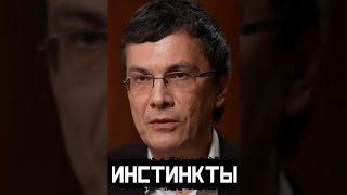 |Половое Влечение| Александр Марков