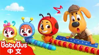 【新劇集】貪吃蟲大冒險 | 守護季🛡️ | 動畫 | Kids Cartoon | 安全教育 | 安全警長啦咘啦哆 | 寶寶巴士 BabyBus