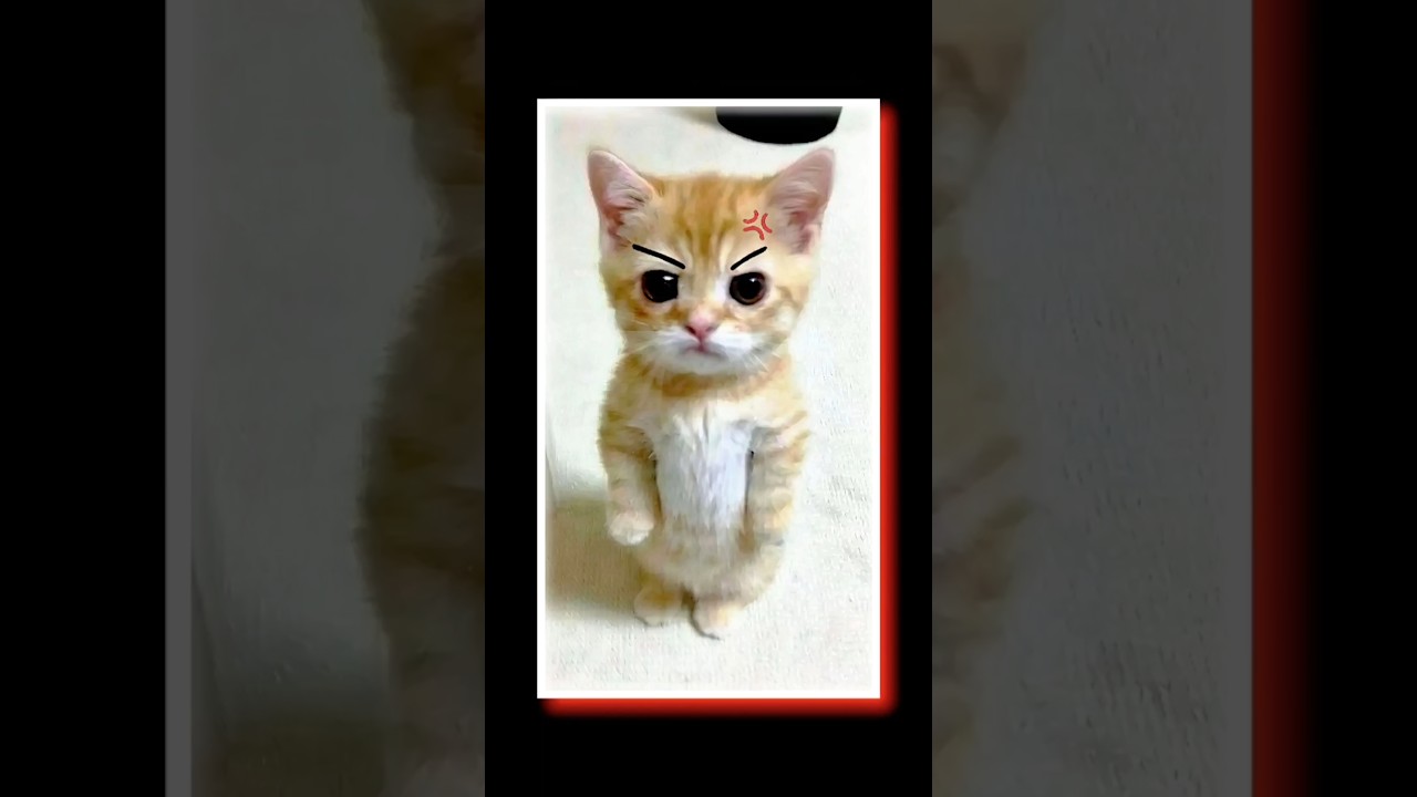 Attention! Cuteness Levels Beyond Safe Limits!