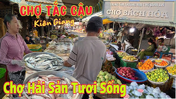 Chợ TẮC CẬU, Chợ Cảng Cá Kiên Giang - Chợ Bán Đủ Loại Hải Sản Tươi Ngon, Giá Rẻ | Lâm Ái 68