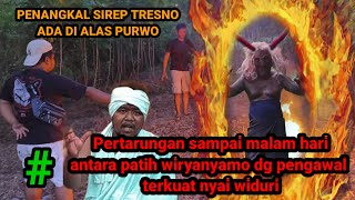 PATIH WIRYANYAMO MEMBUAT PIHAK MUSUH MEMBERITAHUKAN PENANGKAL SIREP TRESNO NYAI WIDURI