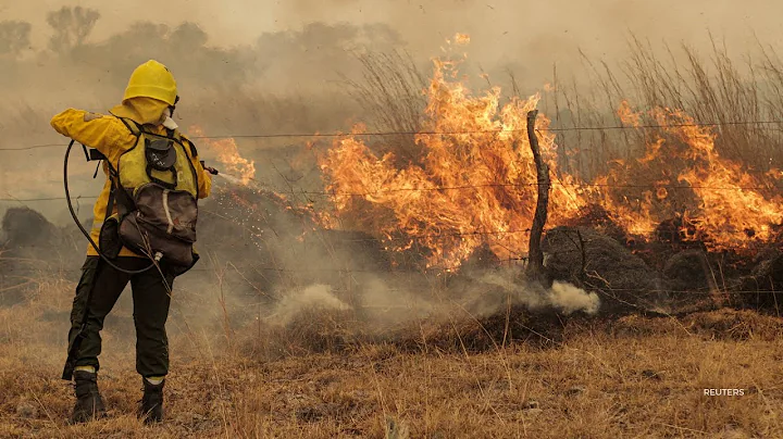 UN report predicts 50% increase in wildfires worldwide by end of century