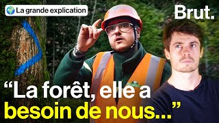 Un garde forestier, ça sert à quoi ?