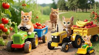 Mama Kitten Story Farming