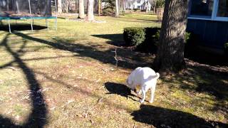 HTC Amaze 4G HD video sample 3