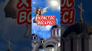 Красивое поздравление С Пасхой🙏 Христос Воскрес! Воистину Воскрес!!!#спасхой #поздравлениеспасхой