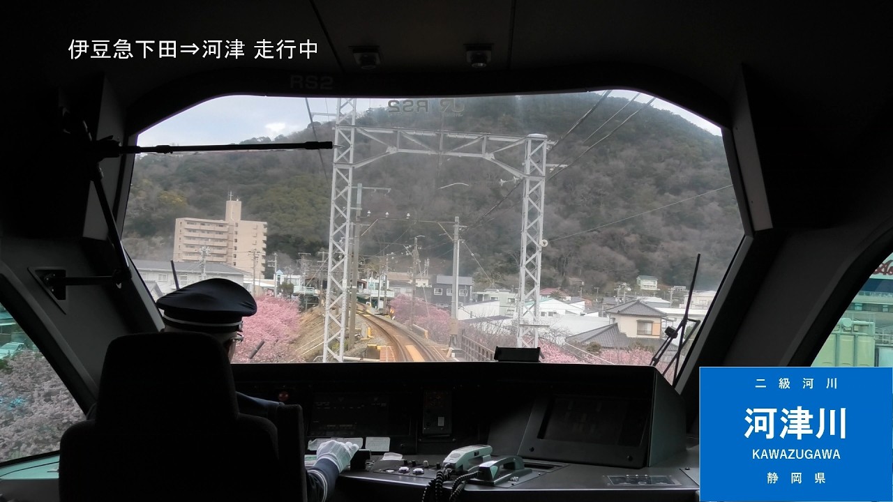 前展望】2026年河津桜満開 特急サフィール踊り子2号 伊豆急下田～東京