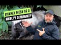 Is Chicken Wire Enough to Keep Wildlife Out of My Home?